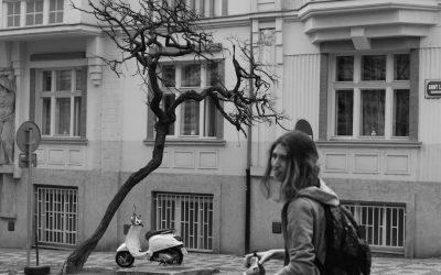 プラハ完璧ホテルガイド：予算別おすすめ15選