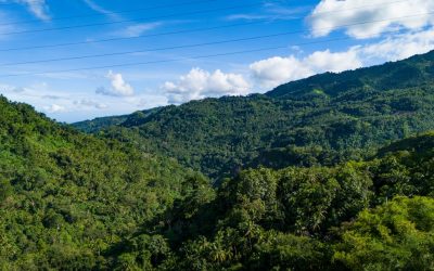 楽園セブ島！予算別おすすめホテル完全ガイド