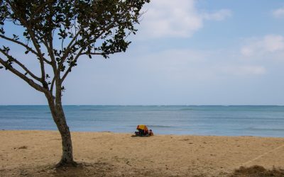 1日1整理チャレンジ：家と人生を整える小さな習慣の力