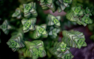 予算別！チューリッヒおすすめホテル15選