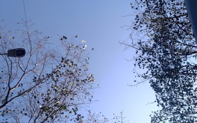 ムンバイ完璧宿ガイド：高級から格安まで厳選15選