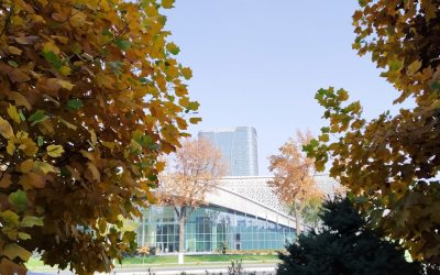 タシュケント完璧宿ガイド：高級から格安まで厳選ホテル2025