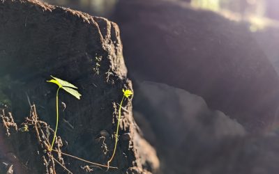 旅が解き放つ心の自由：他者の視線から自由になる瞬間