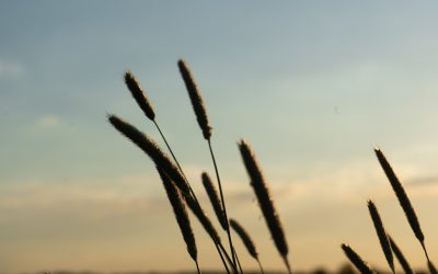 運動が苦手でも大丈夫!「座って運動」で脳を味方につける新習慣