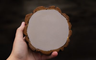 腹筋は一枚岩じゃない?コアを鍛える解剖学