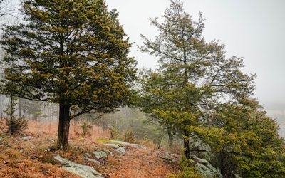 3分ドローインで変わる!新習慣への第一歩