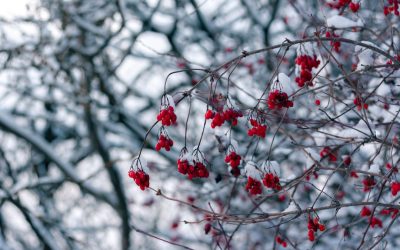 O脚改善の鍵は「お尻」だった!ジムトレーナーが明かす新常識