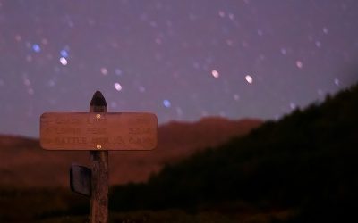 プランク vs クランチ:腹筋に効くのはどっち?