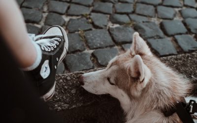 1日10分!自宅でできるO脚改善エクササイズルーティン