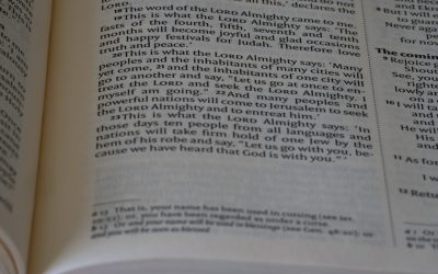 腹横筋の真実:腰痛予防と姿勢改善の鍵