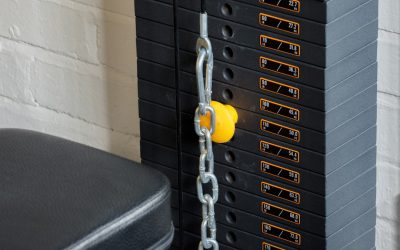 体幹と腹筋は同じ?誤解を解き明かす徹底解説