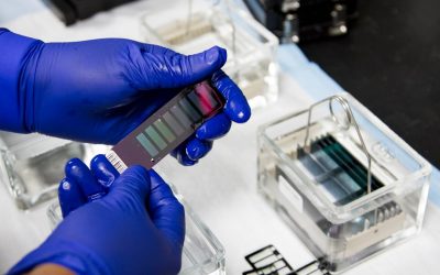 シックスパックは遺伝か?腹部脂肪と遺伝子の真実を解明