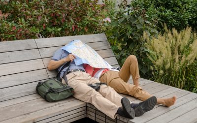 座りながらお腹痩せ?科学が教える効果的な習慣と誤解