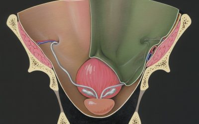 腹横筋を効果的に鍛える!最高の体幹エクササイズTOP5