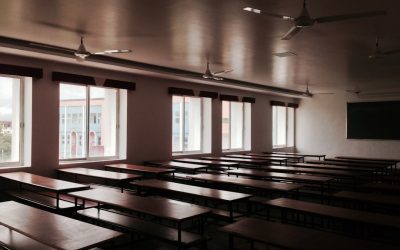 世界の教育システム徹底比較:未来を育む多様なアプローチ