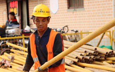 世界の人気職種:未来を拓くキャリアガイド