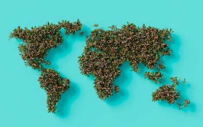 世界の誕生日祝い:文化で変わる特別な日