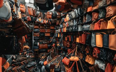 世界各国の災害対策:あなたの命を守る知恵