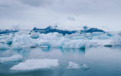 世界の環境政策:持続可能な未来へ