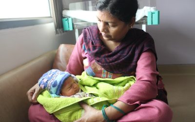 世界の出生率と子育て費用：移住を考えるヒント