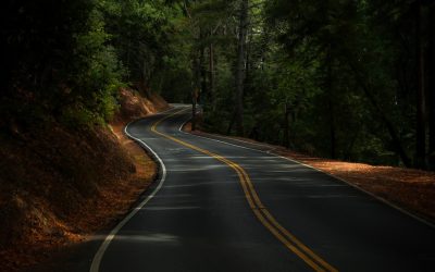 世界の交通事故率：安全な旅のための知識