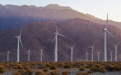 世界の代替エネルギー最前線：持続可能な未来への挑戦