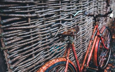 世界の自転車インフラ最前線：快適なサイクリングを叶える国々