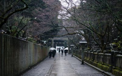 日本限定グルメ：旅で出会う絶品体験