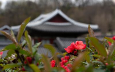 日本の秘境:地元民が愛する絶景5選