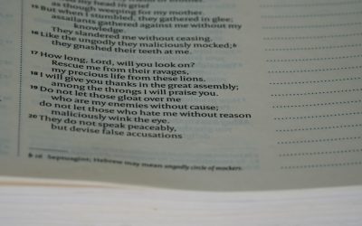 1日1時間投資で英語マスターへの道:忙しいあなたでもできる実践的アプローチ