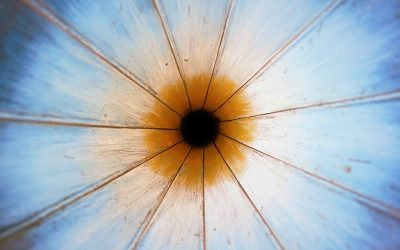 たった1ヶ月で集中力を2倍にする！今日からできる実践テクニック【2025年最新版】