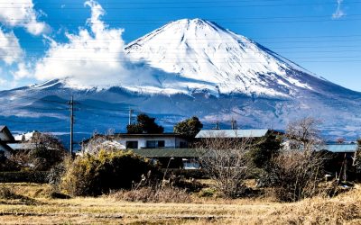 日本の地域限定お土産：隠れた名品を発見！
