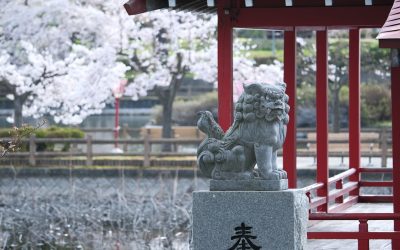 日本の秘境温泉:心癒す絶景と体験