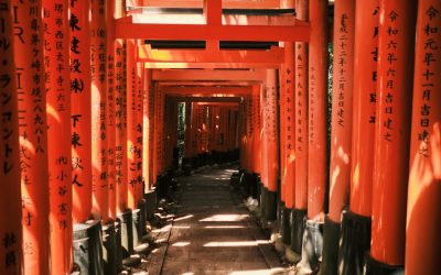 現地の人が教える!とっておきの旅行の裏技大公開 🇯🇵