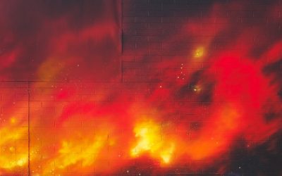 2025年最新版!収益型ブログで稼ぐためのロードマップと成功戦略 🚀