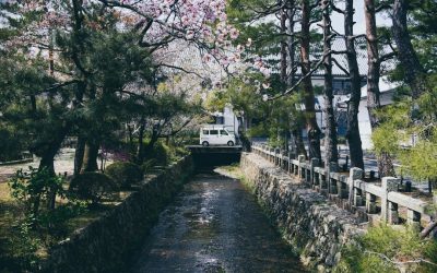 2025年最新版!SNSで話題の隠れた旅行先 BEST 20