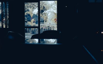 ブロガーのためのGoogle SEO:2025年の最新トレンドと実践戦略