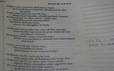 1日1時間投資で英語マスターは可能か？最新トレンドと実践法を徹底解説！