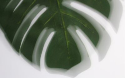 集中力を劇的に高める!科学的根拠に基づいた10の方法【2025年最新版】