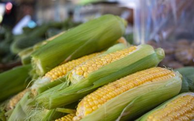 世界で注目されるスーパーフード:最新トレンドと健康への秘訣を徹底解説!