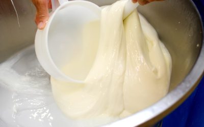 世界の伝統料理:時代を超えて愛される食文化の魅力と最新トレンド