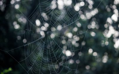 未来を拓くテクノロジー：メタバース、ブロックチェーン、ロボティクスを徹底解説！