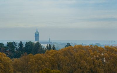 至福の一杯を自宅で!コーヒー・紅茶を「正しく」楽しむ最新ガイド