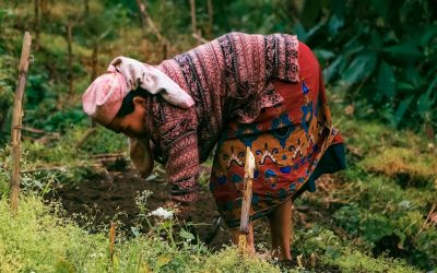 サステナブルファッションブランド：未来を紡ぐ選択肢