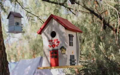 富裕層へのシンプルな原理：複利の魔法を完全に理解する