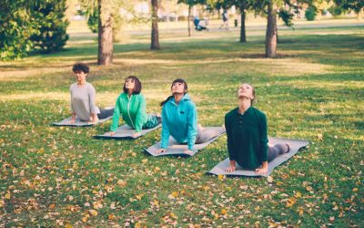 心と体を同時に癒す瞑想法：最新トレンドと科学的アプローチで、より豊かな毎日を