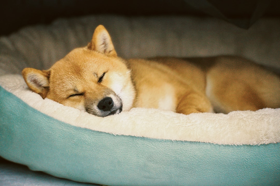 2-2025-1759495424126