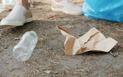 ゼロウェイストライフを始める究極ガイド：2025年最新トレンドと実践法