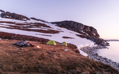 心理学で紐解く!「おひとり様」が最高の幸せを見つける方法【2025年最新版】