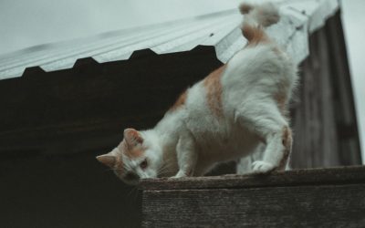 2025年最新版!効率的な目標設定で未来を掴む:SMARTゴールから最新トレンドまで